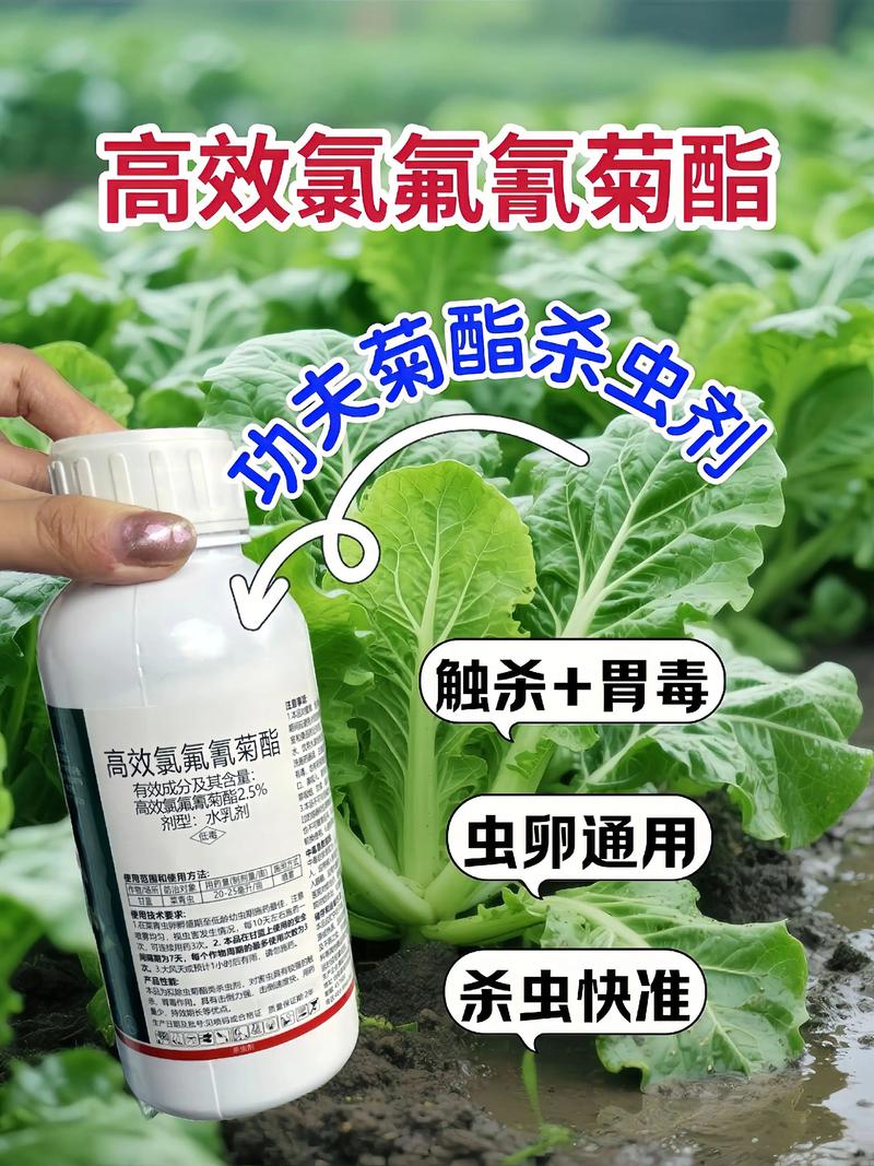 那曲代生中心:农药对供卵代生妈妈的危害